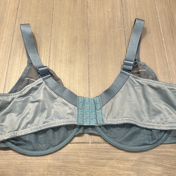 HSIA Dark Teal Lace Bra 42DDD - Picture 3 of 10